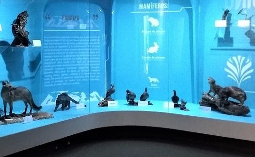 Museo de Historia Natural de la Universidad de Caldas