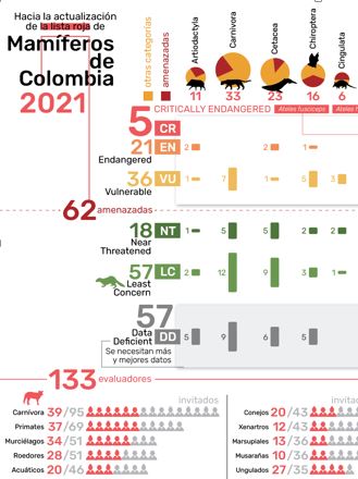 Categorización