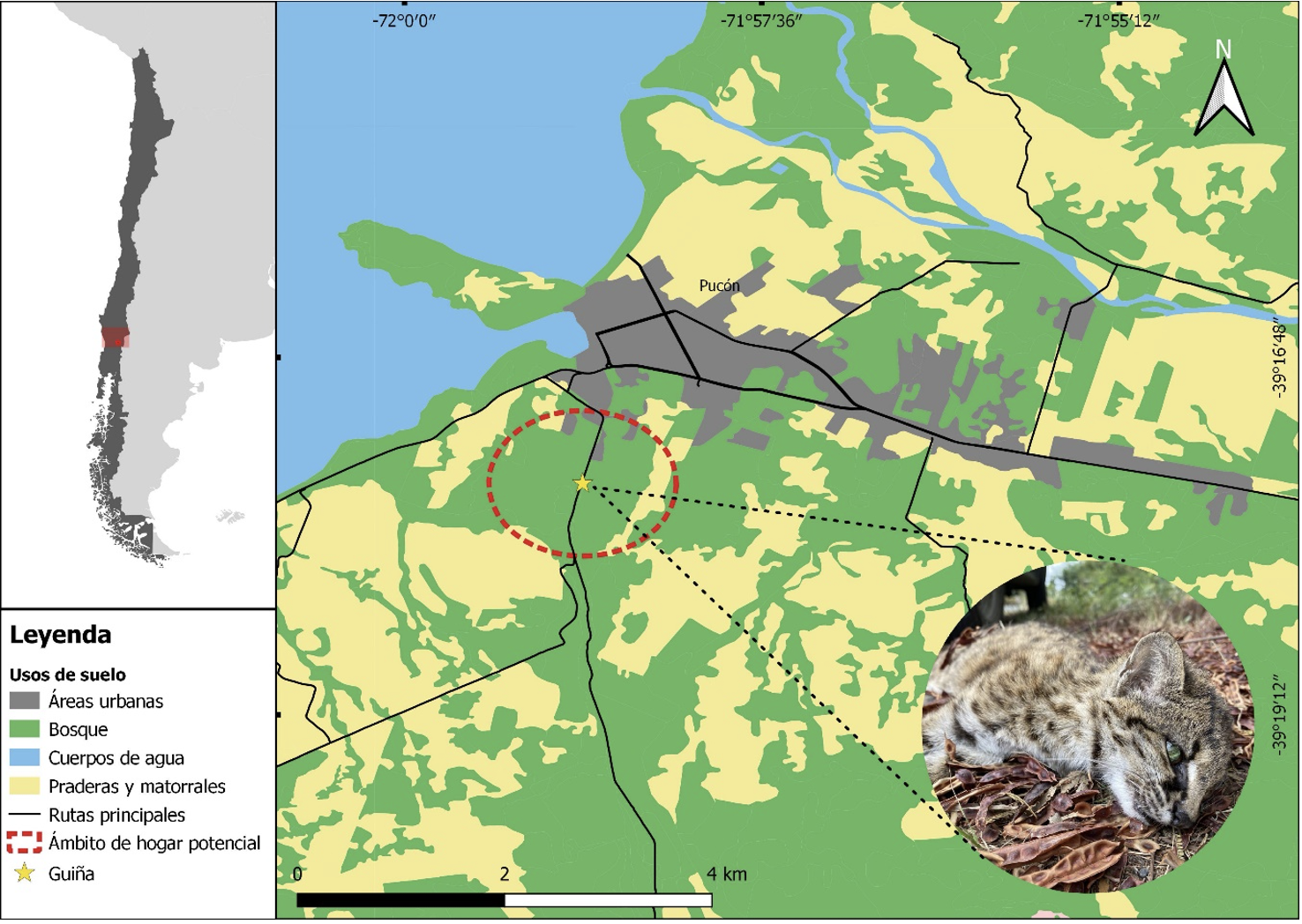 Mapa de chile con énfasis en la localidad donde se encontró un Leopardus guigna